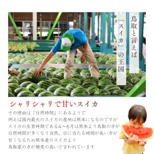 スイカ 西瓜 すいか 鳥取 鳥取県北栄町産(旧...の詳細画像5