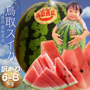 鳥取 スイカ すいか プレミアムドバイ西瓜(優品 ご自宅用)...