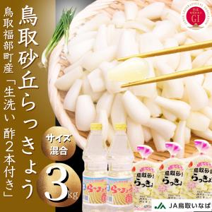 インカのめざめ 越冬 11kg（10kg+1kg増量）S〜2Lサイズ混合 北海道