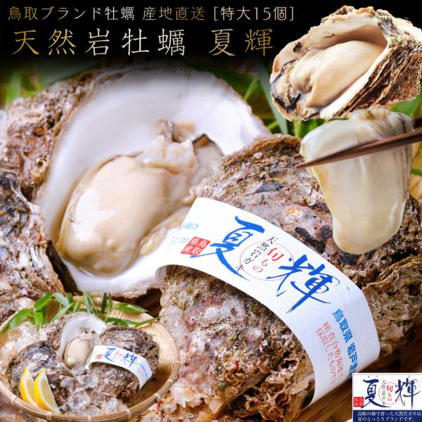 牡蠣 天然岩牡蠣 (活)夏輝牡蠣 生牡蠣 特大 350g-450g前後 15個セットブランド 夏輝牡...