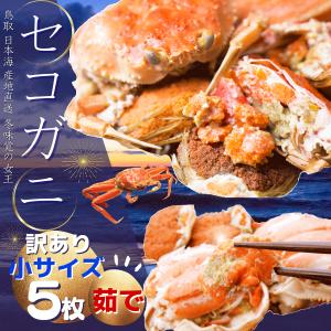 セコガニ （ボイル・茹で）５枚セット(100g〜150ｇ）せこがに 山陰沖産 親がに  セイコガニ