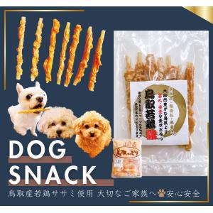 ELMO エルモ ドッグフード 成犬用 サーモンライス・ライト 3kg 大容量
