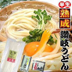 20時間熟成  半生 並麺 讃岐うどん つゆ付きセット 便利な個包装 750g 送料無料 最安値挑戦 得トクセール 特産品｜komatuyamenbox