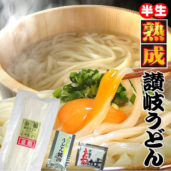 20時間熟成  半生 並麺 讃岐うどん つゆ付きセット 便利な個包装 750g 送料無料 最安値挑戦...