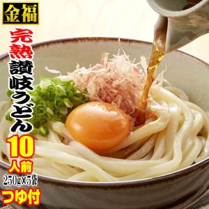 送料無料 金福 完熟 讃岐 うどん 10人前 醤...の商品画像