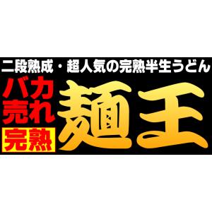 送料無料 金福 完熟 讃岐 うどん 10人前 ...の詳細画像1