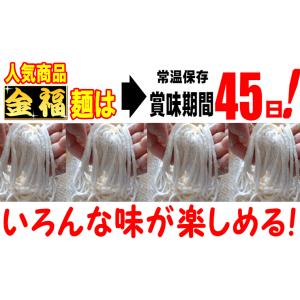 送料無料 金福 完熟 讃岐 うどん 10人前 ...の詳細画像2