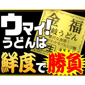 送料無料 金福 完熟 讃岐 うどん 10人前 ...の詳細画像3