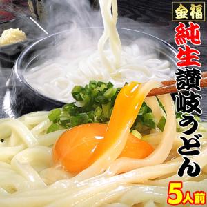 金福純生 讃岐うどん ！1人前食べ切り個包装タイプ！5食セット【ネコポス指定】 特産品 名物商品 香川県産 さぬきうどん ポイント利用 お試し商品 サンプル