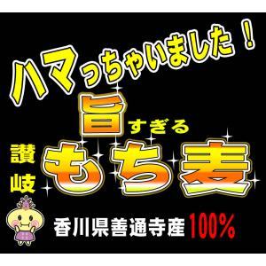 【讃岐もち麦 ダイシモチ 500g】大麦 食物...の詳細画像1