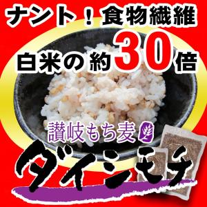 【讃岐もち麦 ダイシモチ 500g】大麦 食物...の詳細画像2