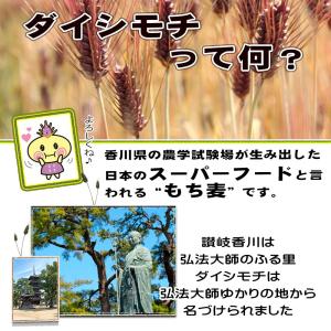 【讃岐もち麦 ダイシモチ 500g】大麦 食物...の詳細画像5