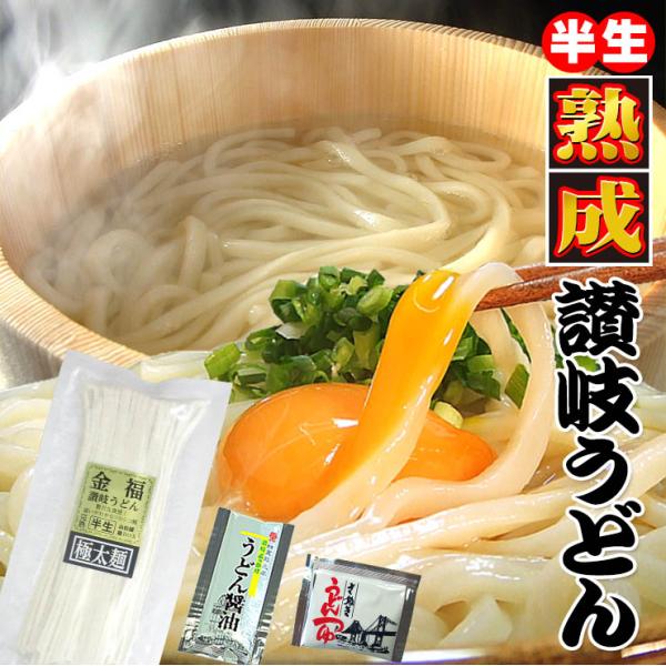 20時間熟成  半生 極太 讃岐うどん つゆ付きセット 便利な個包装 750g 送料無料 最安値挑戦...