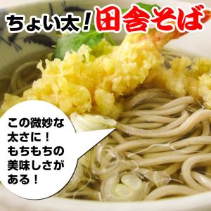 純生 讃岐田舎 そば 400g 4人前 お試し...の詳細画像2