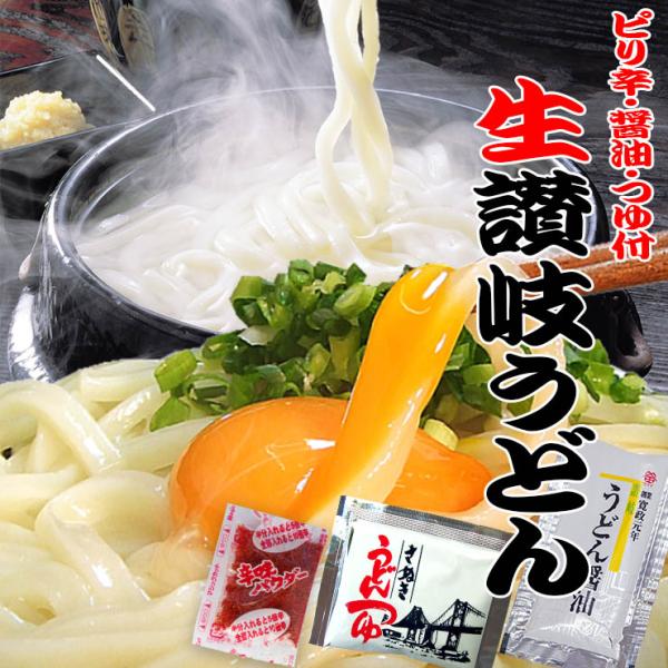 送料無料 ピリ辛・醤油・つゆ付き 生讃岐うどん 500g（1袋250g×2） ネコポス お取り寄せ ...