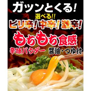 ピリ辛・醤油・つゆ付き 生讃岐うどん 750g...の詳細画像1