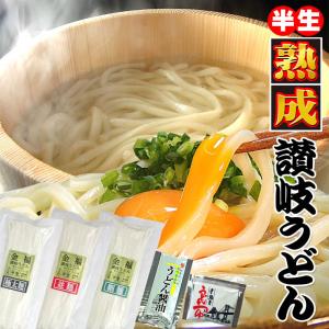 20時間熟成  半生 讃岐うどん 3種麺 つゆ付きセット 便利な個包装 750g 最安値挑戦 特産品 ポイント利用 お試し商品 サンプル