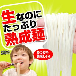 最安値挑戦商品! 讃岐うどん 約9人前(300...の詳細画像4