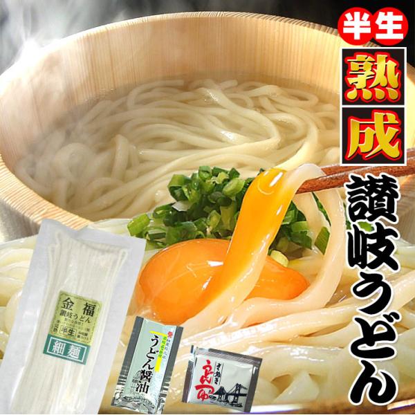 20時間熟成  半生 細麺 讃岐うどん つゆ付きセット 便利な個包装 750g 最安値挑戦 特産品 ...