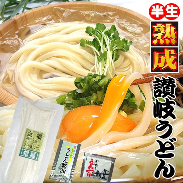 20時間熟成  半生 細麺 讃岐うどん つゆ付きセット 便利な個包装 750g 送料無料 最安値挑戦...