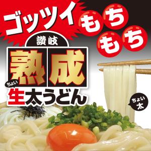 熟成 ちょい 生太 讃岐うどん ドーンと 6食...の詳細画像4