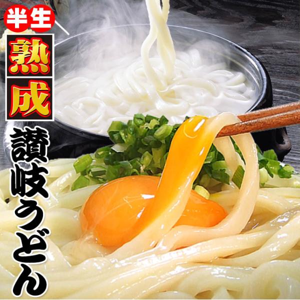 熟成 半生 並切麺 讃岐うどん 激ウマ 6〜8食 便利な個包装 250g×3袋 750g 送料無料 ...