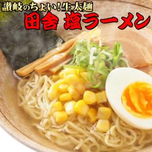 讃岐 生太 田舎 塩ラーメン（大ボリューム 1人前130g×4食 特選塩スープ付） 激ウマ ポイント利用 お試し商品 サンプル