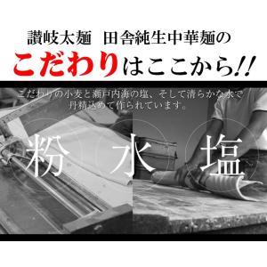辛味 讃岐 甘だれ 生太 田舎 焼きそば 辛味...の詳細画像4