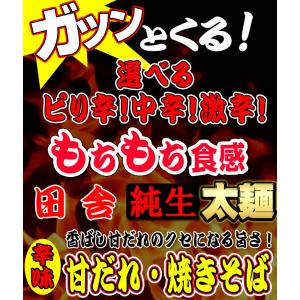 辛味 讃岐 甘だれ 生太 田舎 焼きそば 辛味...の詳細画像1