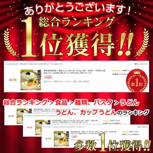 (お試しプレゼント付き) 讃岐うどん 約9人前...の詳細画像1