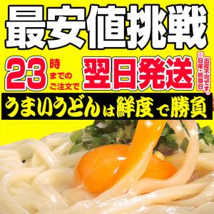 (お試しプレゼント付き) 讃岐うどん 約9人前...の詳細画像2