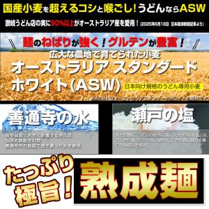 (お試しプレゼント付き) 讃岐うどん 約9人前...の詳細画像5