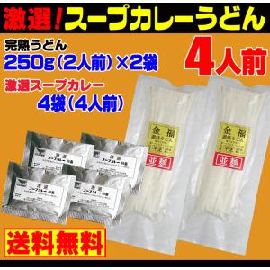 激選スープカレー 讃岐うどん 4人前セット ネ...の詳細画像1