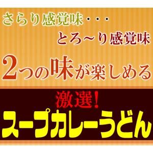 ピリ辛 激選スープカレー 純生 讃岐うどん 6...の詳細画像1