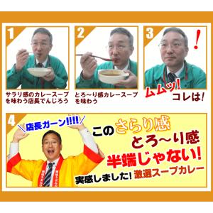 ピリ辛 激選スープカレー 純生 讃岐うどん 6...の詳細画像4