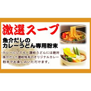 ピリ辛 激選スープカレー 純生 讃岐うどん 6...の詳細画像5