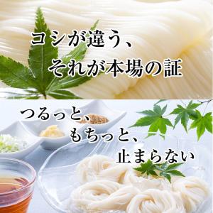 本場 讃岐そうめん つゆなしセット 9人前 最...の詳細画像3