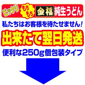 純生 讃岐 うどん ドーンと4食 便利な個包装...の詳細画像4