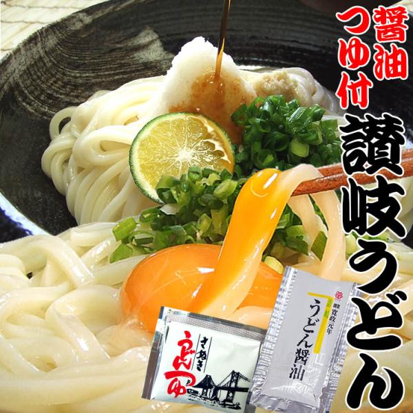 純生 讃岐 うどん ドーンと6食 便利な個包装 300g×2袋 600g 醤油 つゆ付 送料無料  ...