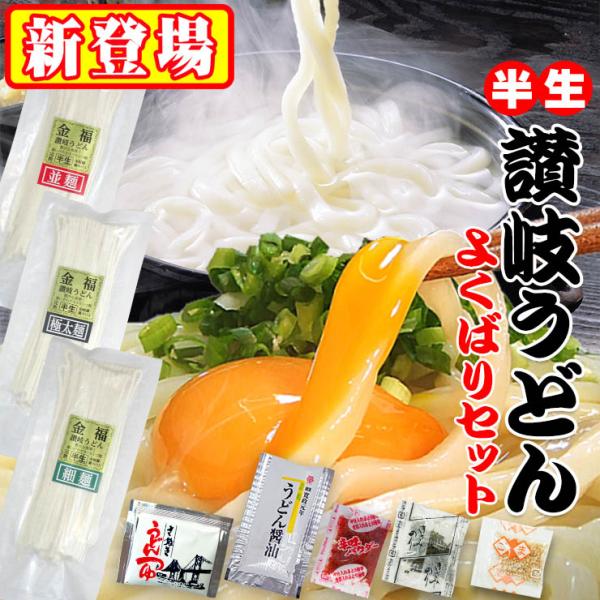20時間熟成 半生 讃岐うどん 3種（極太・並・細） 750g つゆ付 欲張りセット 最安値挑戦 特...