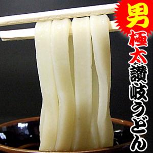 男 極太麺 完熟 半生 讃岐うどん 6〜8人前 セット ネコポス