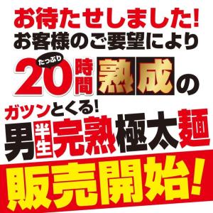 男 極太麺 完熟 半生 讃岐うどん 6〜8人前...の詳細画像1