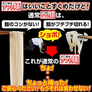 こしのある! ゆで 讃岐 ソフト麺 うどん 2...の詳細画像2