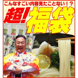 送料無料(北海道・沖縄除く) うどん 大満足バ...の詳細画像1