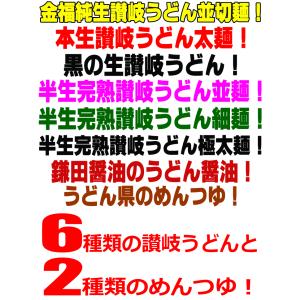 送料無料(北海道・沖縄除く) うどん 大満足バ...の詳細画像3