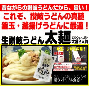 送料無料(北海道・沖縄除く) うどん 大満足バ...の詳細画像4