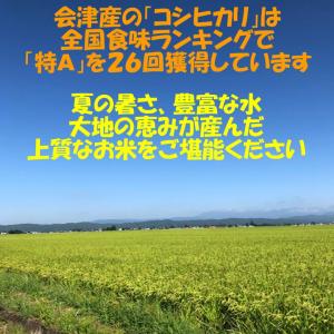 令和7年産 会津 コシヒカリ 玄米 25kg ...の詳細画像1