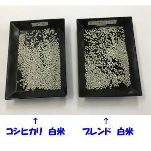 生活応援 ご家庭用 業務用 白米 5kg × ...の詳細画像1