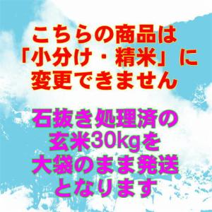 新米 令和8年産 会津 ミルキークイーン 玄米...の詳細画像1