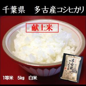 令和7年産 米 お米 ふさこがね 白米 5kg 本州四国 送料無料 : いそべ